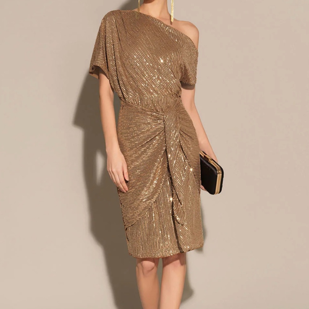 Brown Off shoulder single sleeve Party dress